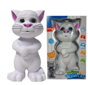 Intelligent Talking Tomcat